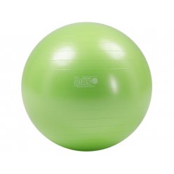 Gymnic Plus 75 BRQ gymball