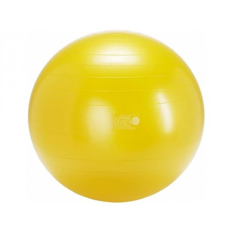 Gymnic Plus 65 BRQ gymball