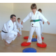 Activa Disc 40 cm Maxafe - LEDRAGOMMA 