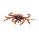 Model klíštěte obecného (Ixodes ricinus)