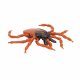 Model klíštěte obecného (Ixodes ricinus)
