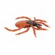 Model klíštěte obecného (Ixodes ricinus)