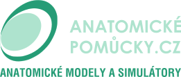 Anatomické-pomůcky.cz